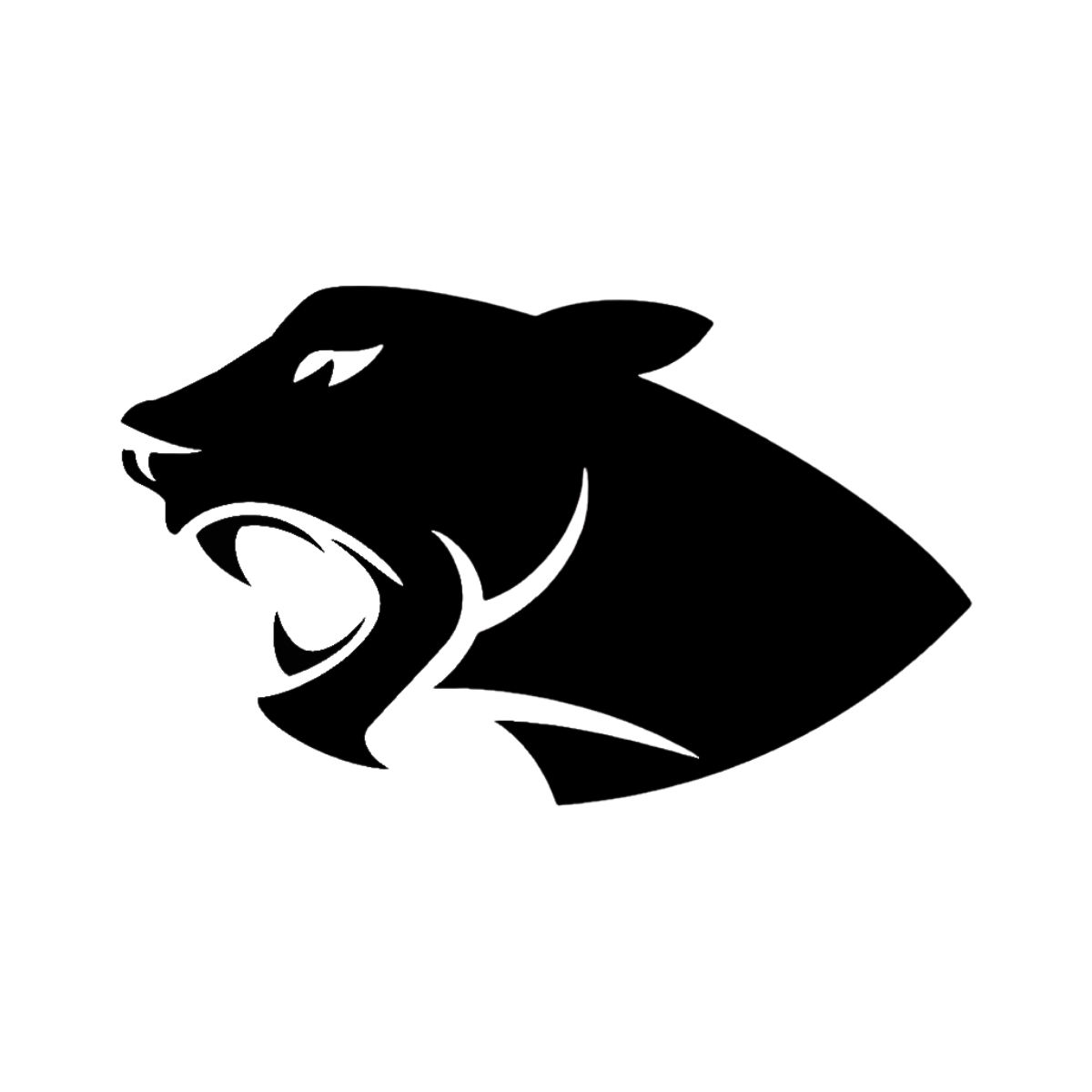 Panther Partnership